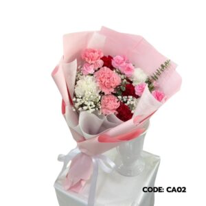 best-64-คาร์เนชั่น