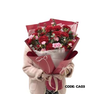 best-65-คาร์เนชั่น