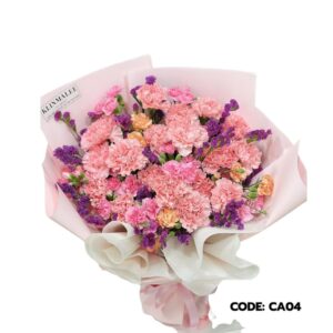 best-66-คาร์เนชั่น