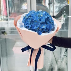 best-69-ไฮเดรนเยีย