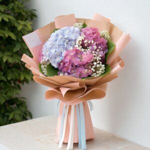 best-72-ไฮเดรนเยีย